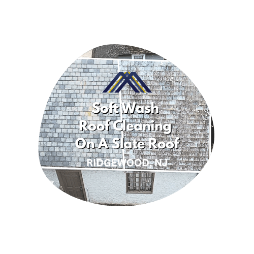 soft wash roof cleaning