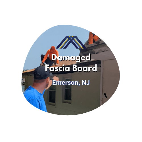 damaged fascia board