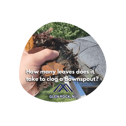 how many leaves does it take