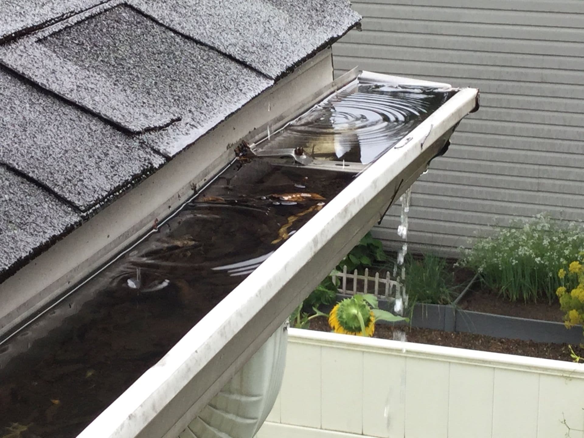 Standing Water and Overflowing Gutters