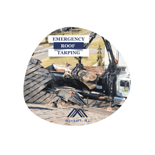 may 2024 website covers