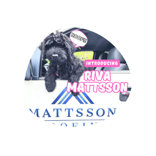 may 2024 website covers